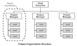 Project Organisation