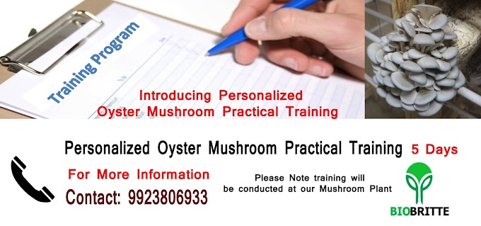 Personalized Oyster Mushroom Cultivation Training Program