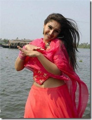 Sreedevi_Vijayakumar_image1