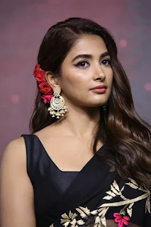 Pooja Hegde Saree Stills at Acharya Movie Press Meet