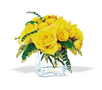 flowers, roses, yellow roses