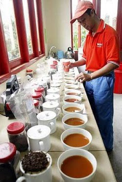 Tea tasting: Boh Plantations' Sungei Palas estate's factory conductor Sayed Jamal Abu Seman demonstrating how he tastes the different tea samples
