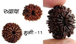 11 मुखी रुद्राक्ष, कीमत, लाभ, उपाय - राजनीति में सफलता व व्यापार 