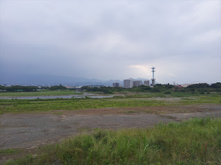 相模川八景「三川合流点と大山」河川敷と三川合流点