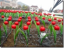 DSCF2134