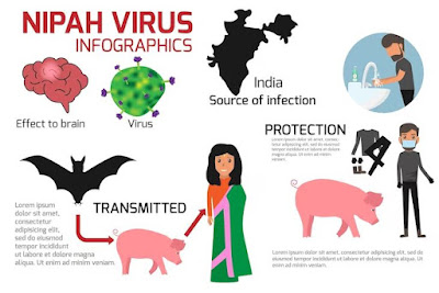 فيروس نيباه Nipah virus