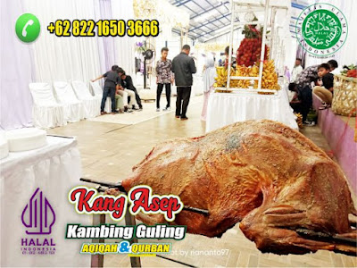 Kambing Guling Pernikahan Jakarta,Kambing Guling Pernikahan,Kambing Guling,Kambing Guling Jakarta,