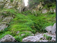 DSCN3150