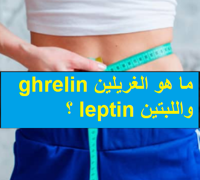 ما هو الغريلين ghrelin  واللبتين leptin ؟