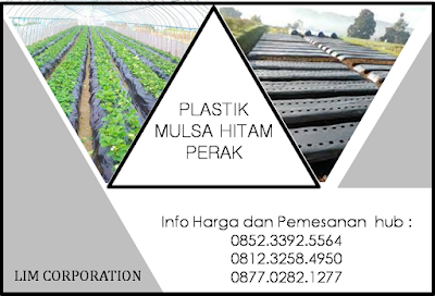 mulsa dari koran,mulsa dari koran bekas,mulsa daun,mulsa daun bambu,mulsa daun jati,mulsa daun pisang,mulsa eceng gondok,mulsa fulsa