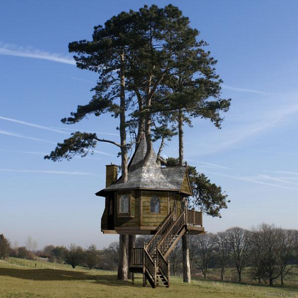 Tree Houses