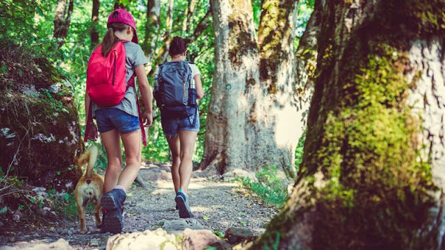 a mother and daughter hiking with their puppy