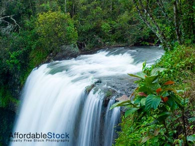 stock nature photos