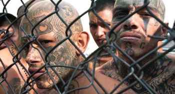 MS-13 Geng Asal El Salvador Paling Berbahaya Di Dunia Saingan Barrio 18