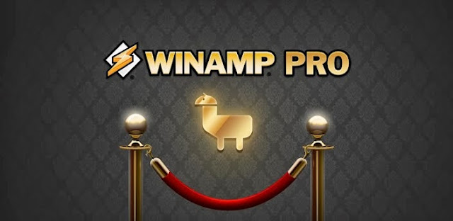 Winamp Pro v1.4.13 apk download