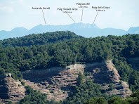 El Puigsacalm i voltants des de la Punta del Serrat del Vent