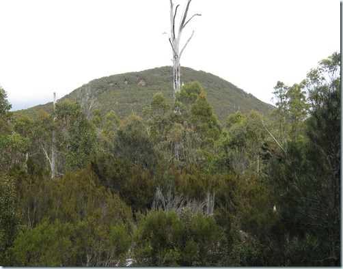 Mouint Montagu from the Falls track