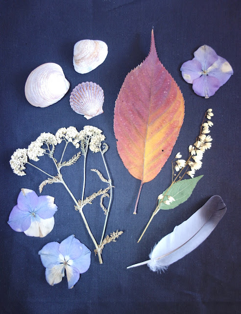 pressed flowers, feather, seashell, leaves, sketchbook, sketchbook practice, journalling, doodles, abstract art, the blank page, blah to TADA, photo by Claire Mercado-Obias