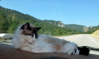 Jeremy in position as we head west over the Bighorns