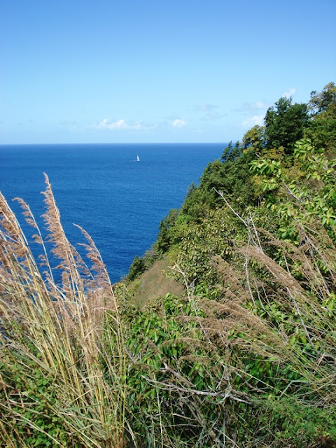 Pigeon Island Saint Lucia