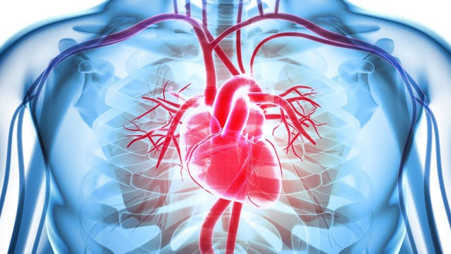 https://www.healthandfitnessexpert.in/2024/04/congestive-heart-failure-under-normal.html