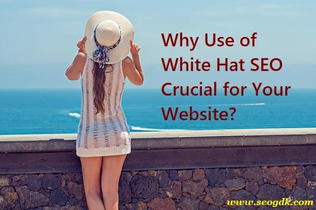 White Hat SEO Techniques