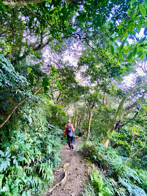 下山往茅埔路