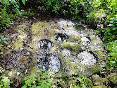 Ninehole Stone, Offaly