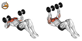 Ditch the Barbell! Build a Bigger Chest with These 5 Dumbbell Exercises