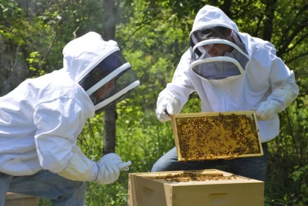 Μέχρι την Δευτέρα 21 Ιανουαρίου οι Δηλώσεις Διαχείμασης για τους μελισσοκόμους της Αργολίδας
