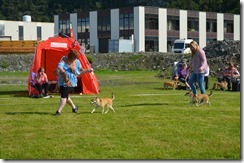 DSC_0718 DSC_0718