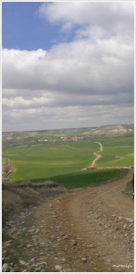 haiku haibun camino santiago