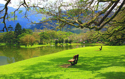 Un paseo por el jardín del lago en Taiping Perak, Malasia. 