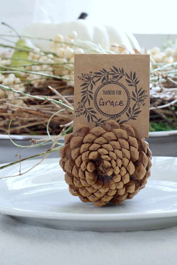 rustic pinecone with place card