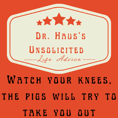 Dr. Haus's Unsolicited Life Advice:  Watch your knees, the pigs will try to take you out