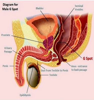  benis enlargement medicine in tamil