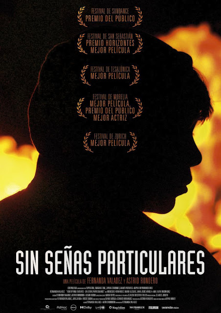 Crítica de la película Sin señas particulares