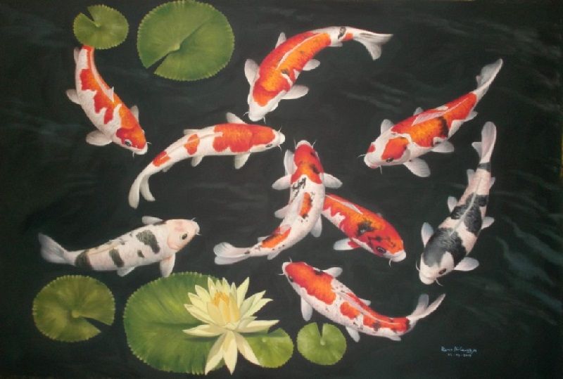 Gambar Lukisan Ikan Koi yang Cantik dan Indah