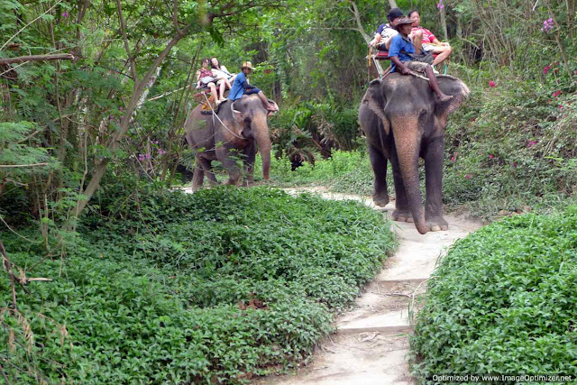 Elephant Village