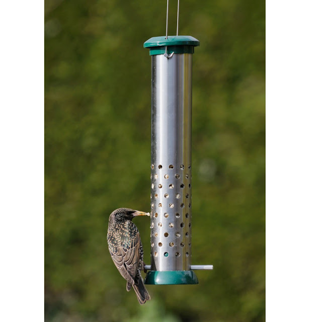 Bird Feeder Peanut