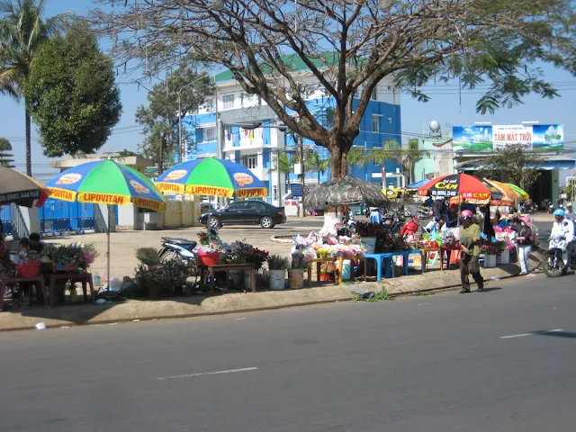 Hình ảnh Pleiku ngày Valentine 2012.