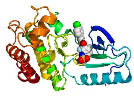 BRAF Kinase Inhibitors