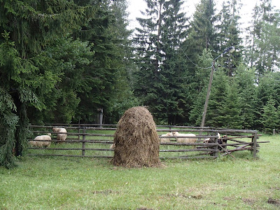 pasterskie święto, Lipnica Wielka, Babia Góra