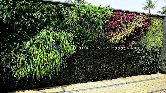 Kami merupakan Jasa Pembuatan Vertical Garden Murah Dan Bergaransi Di Kota Jakarta, Jasa tukang Vertical Garden Jakarta, Jasa Vertical Garden Jakarta, Tukang Vertical Garden Jakarta, Tukang Taman Vertical Jakarta, Vertical Garden Jakarta, Tukang taman Dinding Jakarta, Jasa Pembuatan Taman Dinding Jakarta,