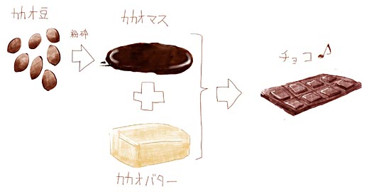 ぬこごろ Blog お口の恋人ロッテのチョコに関してと ぬこてんとチョコパイの関係