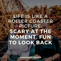 Life is Like A Roller Coaster