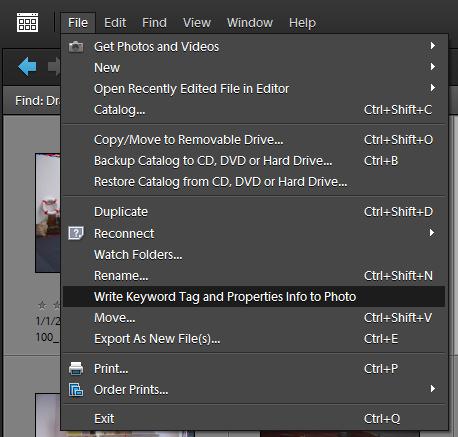 How to add GPS information in a file through Adobe Photoshop Elements (Organizer) : Many times I have seen people looking for solution to add GPS info to their files. Here is one of the method to do it in Adobe Photoshop Elements Organizer:1. Right click on Photograph in Organizer2. Click on 