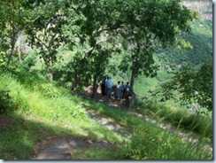 Pathways comp