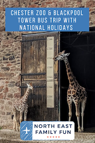 Chester Zoo & Blackpool Tower Bus Trip with National Holidays 