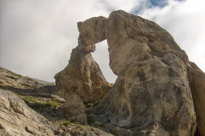 arche de Tortisse sur ciel blanc